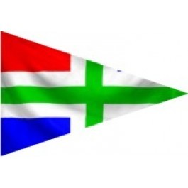 Puntvlag Groningen 30x45cm Groninger wimpel geus