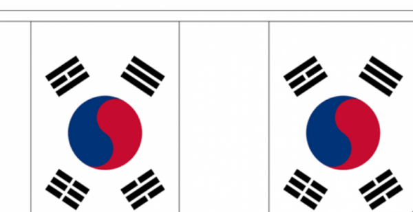 Vlaggenlijn Zuid Korea - 3 meter I stof