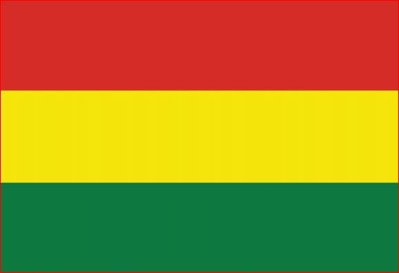 Vlag Bolivia Boliviaanse vlaggen 30x45cm gastenvlag