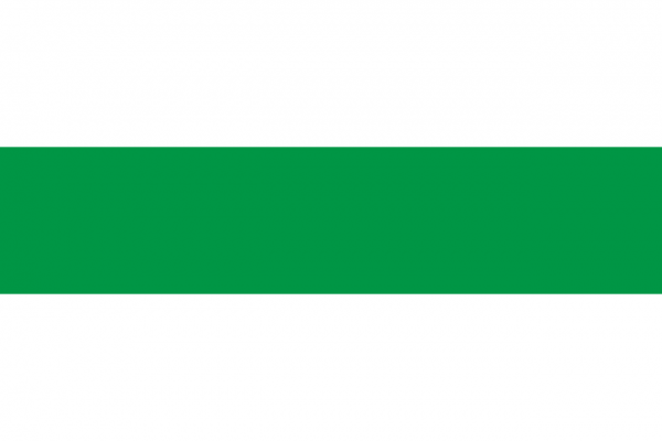 Vlag Monnickendam 150x225cm