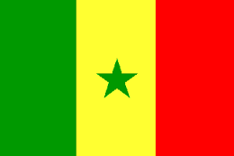 vlag Senegal 30x45cm