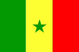 vlag Senegal 30x45cm 