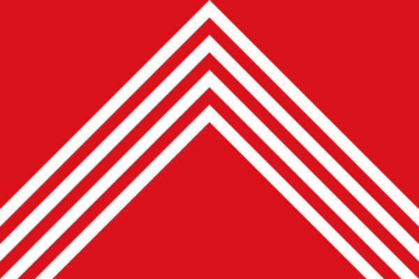 Vlag Brakel