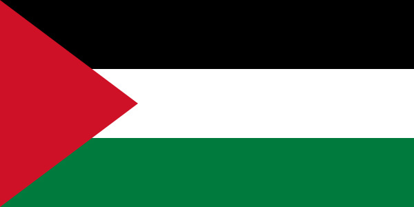 Vlag Palestina 70x100cm
