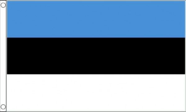 Vlag Estland 60x90cm