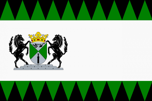 Vlag emmen 70x100
