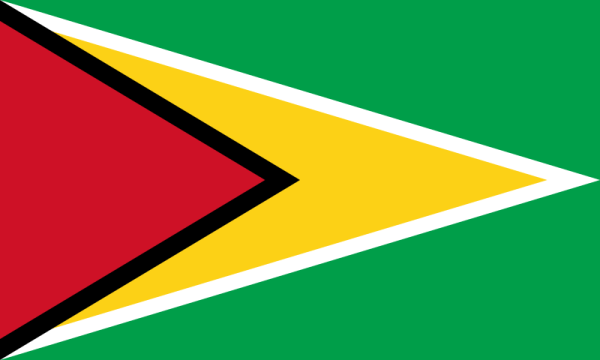 Vlag Guyana 70x100cm