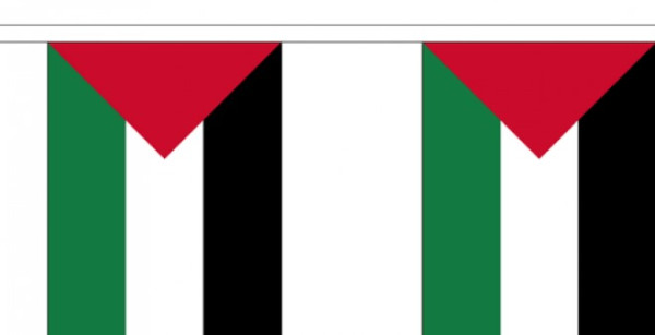Vlaggenlijn Palestina - 3 meter | Stof