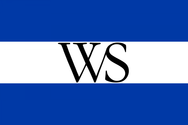 Vlag Weesp 70x100