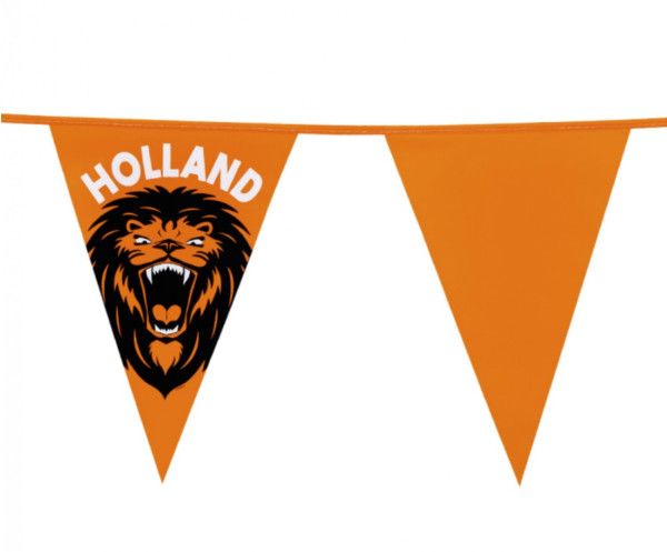 Oranje vlaggenlijn met Leeuw XXL
