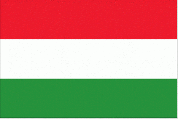 Hongaarse vlag | vlaggen Hongarije 50x75cm gastenvlag