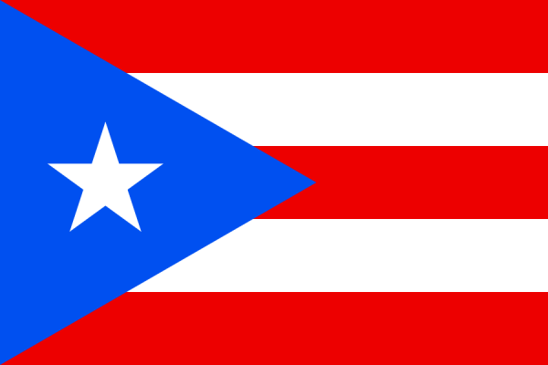 Vlag Puerto Rico 30x45