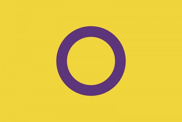 Grote Vlag Intersekse