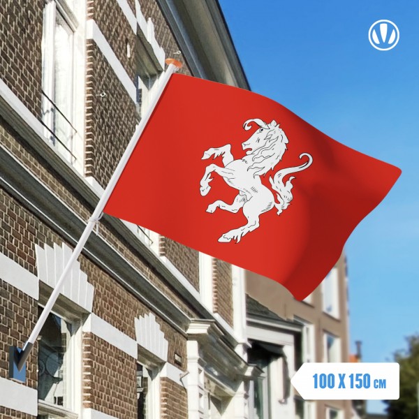 Vlag-Twente-Twentse-Ros 100x150