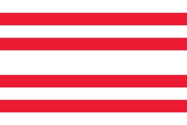 Vlag gemeente Gorinchem 70x100cm Gorinchemmer bootvlag