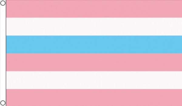 Intersekse roze blauwe vlag 90x150 I best value