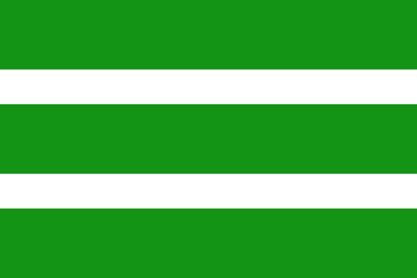 Vlag Hotton 120x180cm