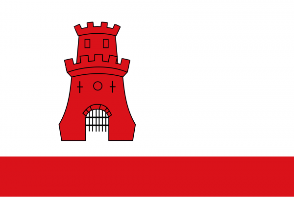 Vlag Rijnsburg 30x45cm