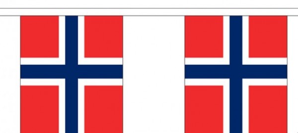 Vlaggenlijn Noorwegen Noorse vlaggenlijn 3m