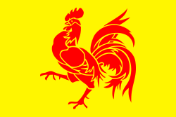 vlag van Wallonie Waalse rode Haan 30x45cm