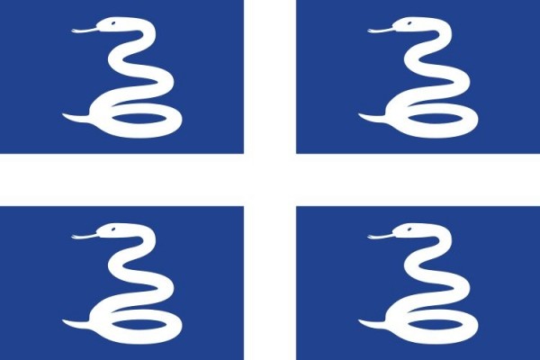 Vlag Martinique 50x75cm