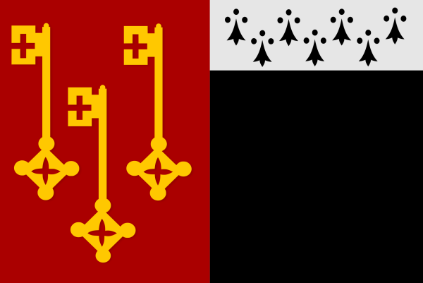Vlag Destelbergen 120x180cm