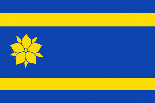 Vlag Hattem 30x45