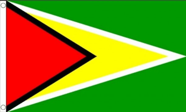 Vlag Guyana 60x90cm | Best value