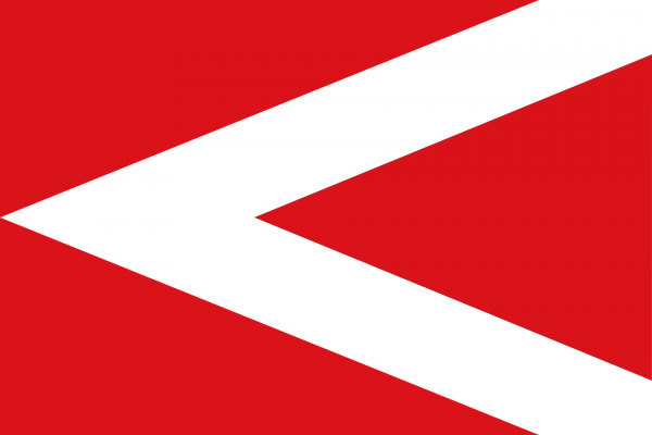 Vlag Anderlues