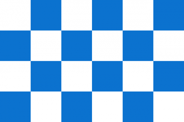 Vlag Dalfsen 30x45