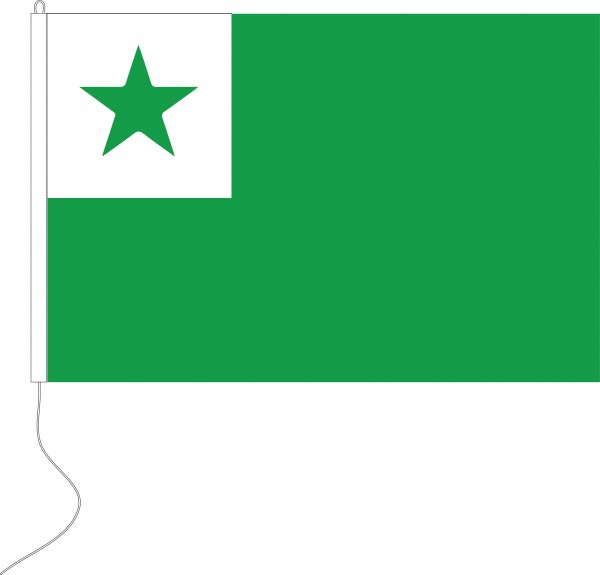 Esperanto vlag 30x45cm