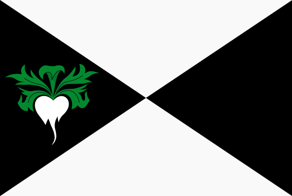 Vlag Lokeren 120x180cm