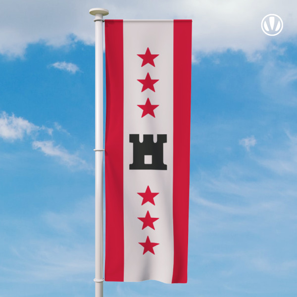 Banier Drenthe vlag