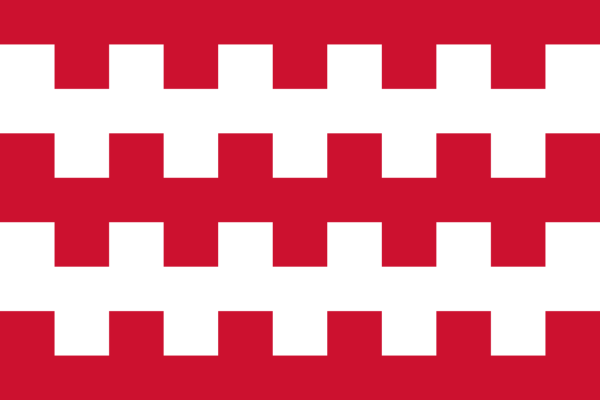 Vlag Dongen 70x100cm