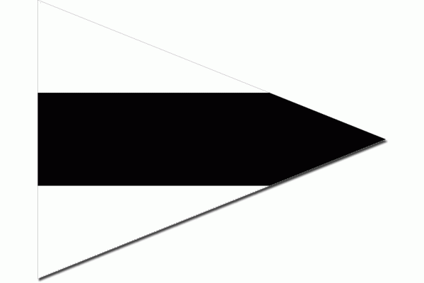 Seinwimpel 3e vervang 75x90cm seinvlag