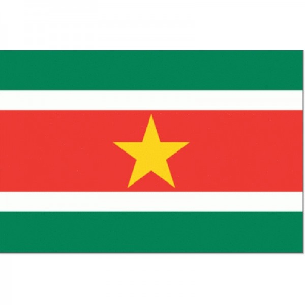vlag Suriname 30x45cm Gastenvlag