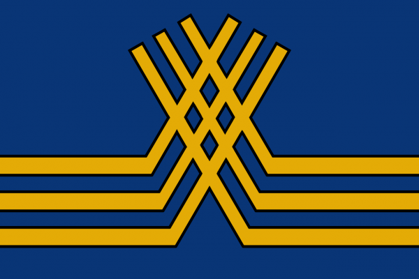 Grote vlag Stekene