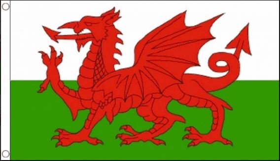 wales vlag welsh best value 60x90 cm