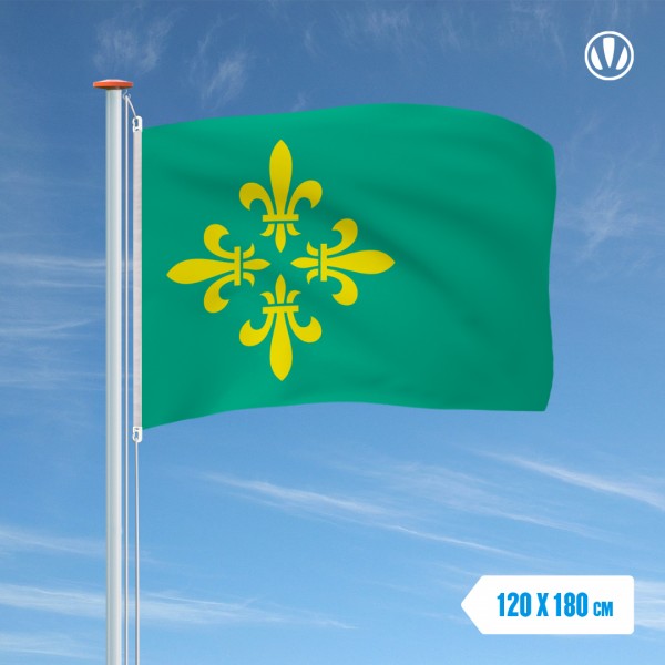Vlag Midden-Drenthe 120x180cm