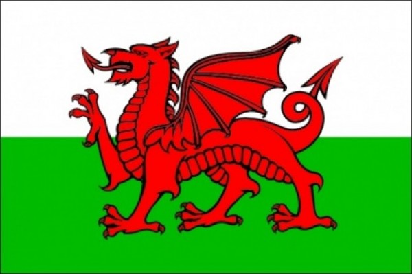 vlag Wales Welshe vlaggen gastenvlag 50x75cm