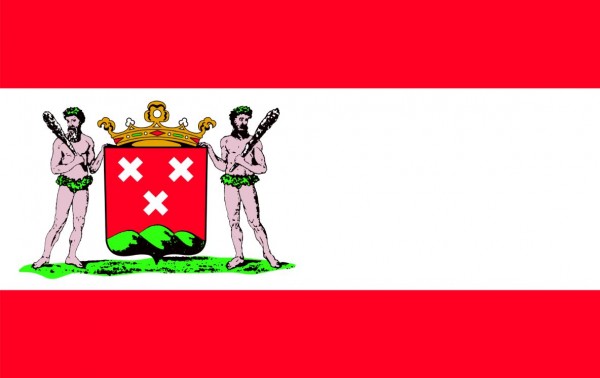 Vlag Bergen op Zoom 30x45cm gemeente vlaggen