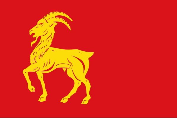 Vlag Boxmeer 70x100cm