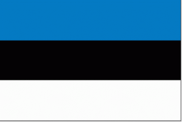 Estlandse vlag | vlaggen Estland 40x60cm gastenvlag