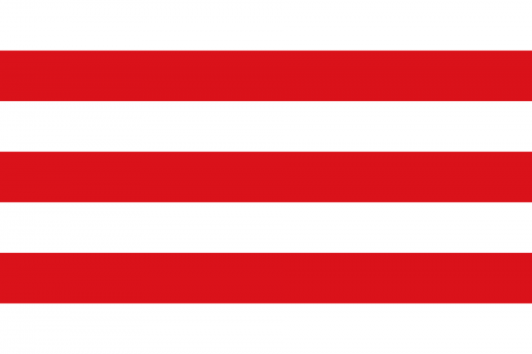Vlag Lier