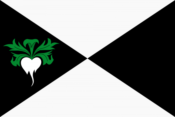 Grote vlag Lokeren