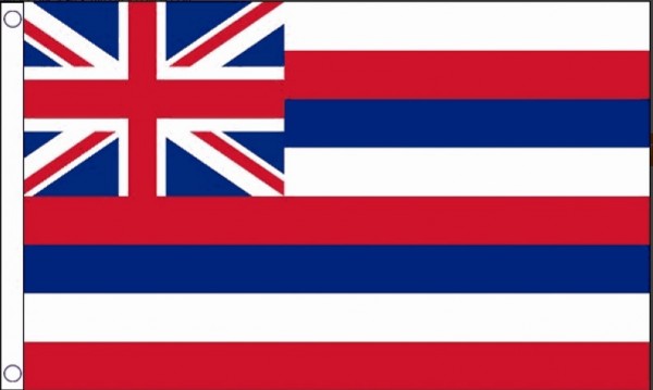 vlag hawaii 90x150 cm