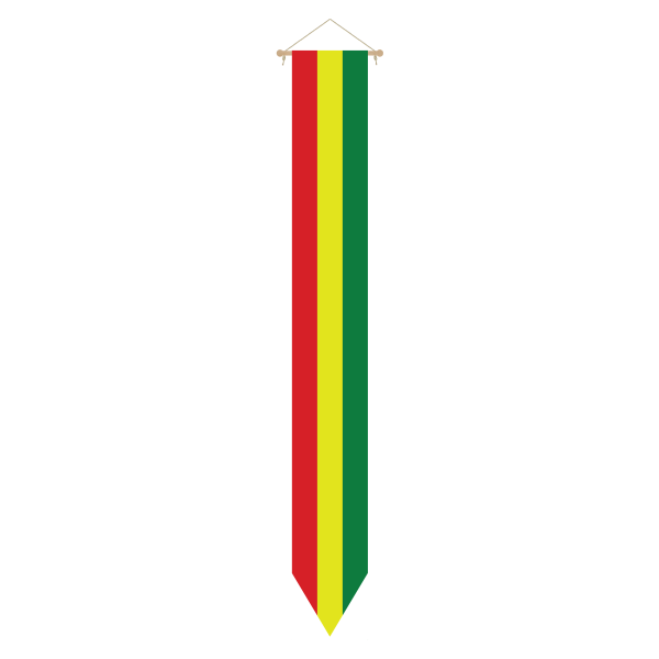 Wimpel Carnaval Limburg 175x25cm