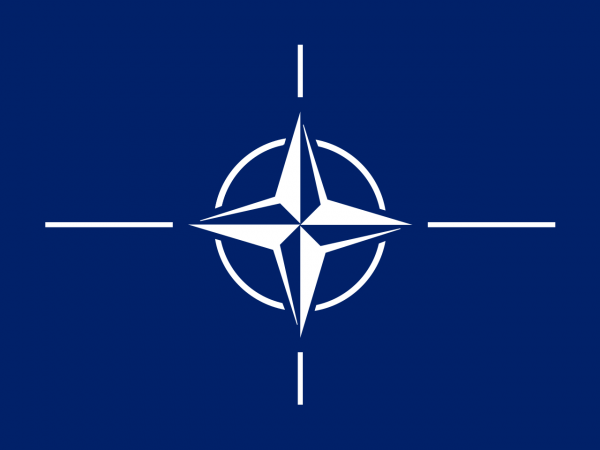 Vlag Navo 100x150cm