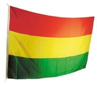 Carnavalsvlag Limburg 200x300cm Carnaval vlag XXL
