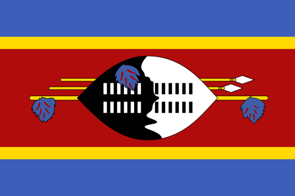Vlag Swaziland 70x100cm